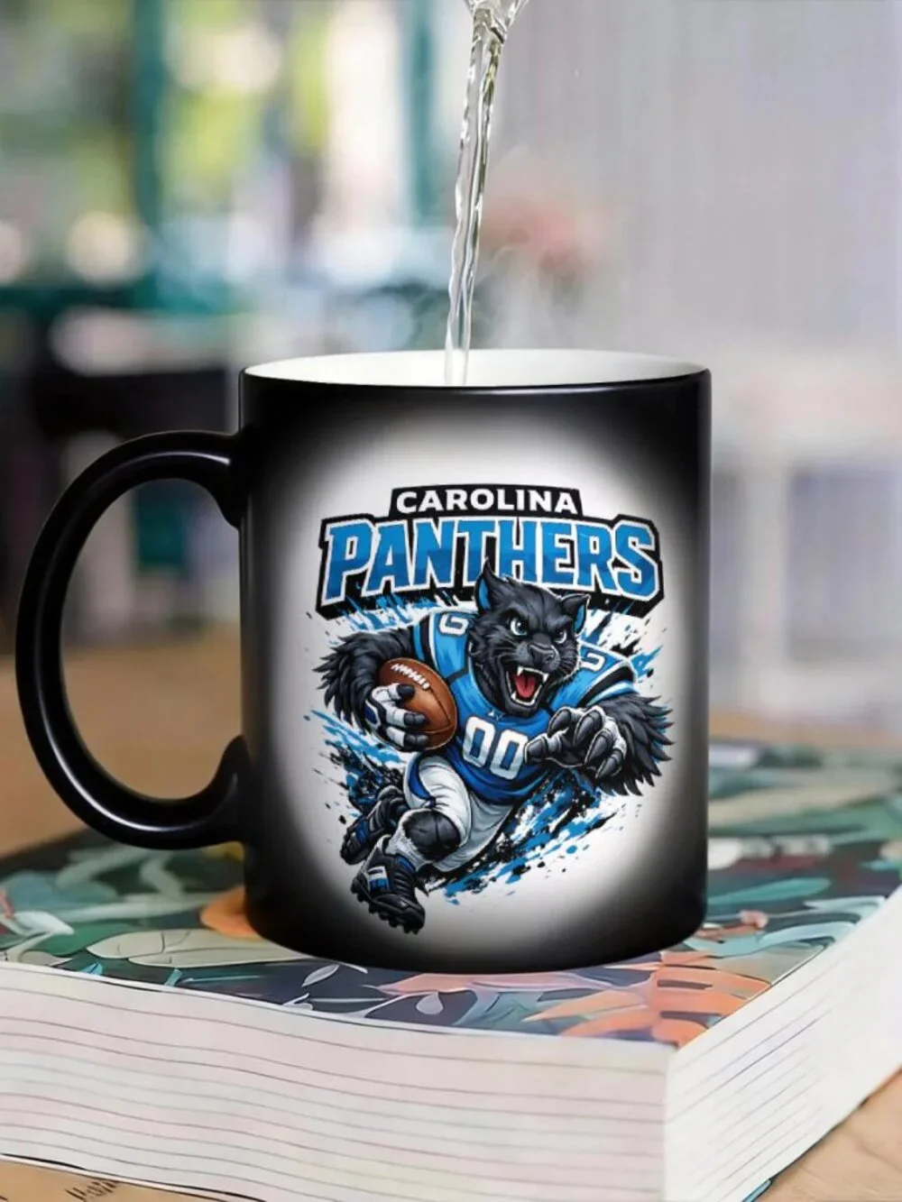 N/A carolina panthers